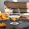 Poharak konyakhoz Balance 510 ml - 6 darabos készlet | KROSNO GLASS F573903048018000