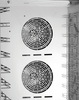 Légkeveréses párolósütő Silversteam 2 P-10110D | BARTSCHER 117793