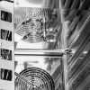 Elektromos kombi pároló sütő Omega 12 GN 1/1, érintőképernyős kezelőpanel, 16,1 kW, 400 V| PROFICHEF PCO211012