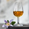 Whisky kóstolópoharak Pure 110 ml - 6 darabos készlet | KROSNO GLASS F577337010019000