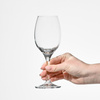 Poharak WINE 280, 280 ml, 6 darabos készlet | KROSNO GLASS F578281024028C20