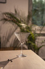 Poharak martinihoz, PERFECTION, 200 ml | APS 10545